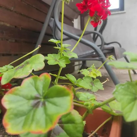 Apartamento Maltar Lič